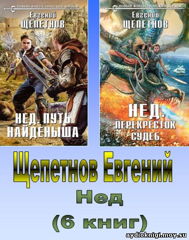 нед6 шепетнов